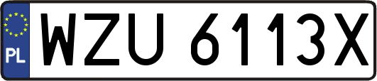 WZU6113X
