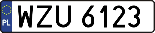WZU6123