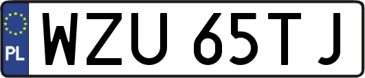 WZU65TJ