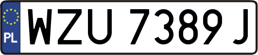 WZU7389J