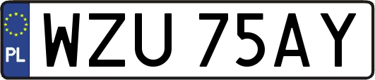 WZU75AY
