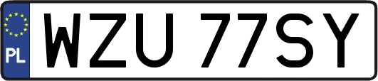 WZU77SY