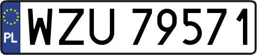 WZU79571