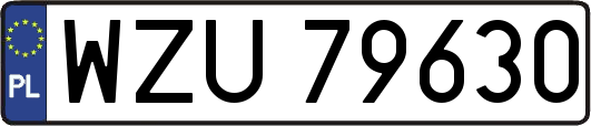 WZU79630