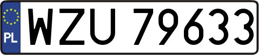 WZU79633