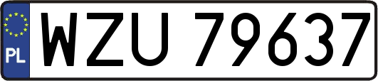 WZU79637