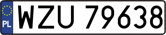 WZU79638