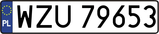 WZU79653