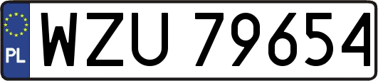 WZU79654