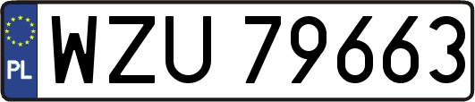 WZU79663
