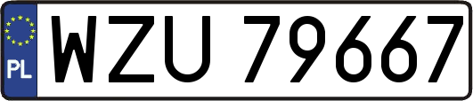WZU79667