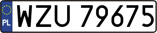 WZU79675