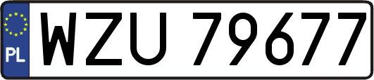 WZU79677