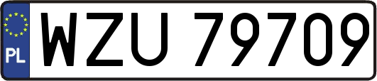 WZU79709