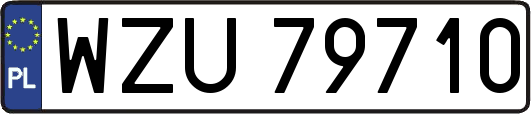 WZU79710