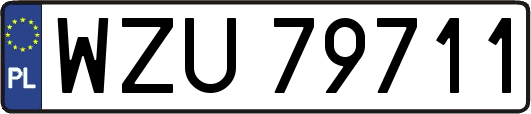 WZU79711