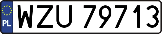 WZU79713