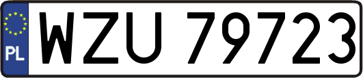 WZU79723
