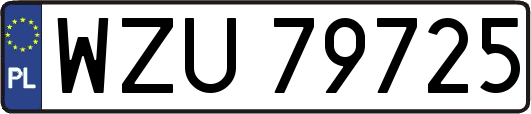WZU79725