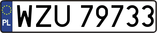 WZU79733