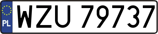 WZU79737