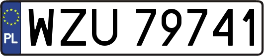 WZU79741