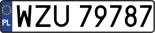 WZU79787
