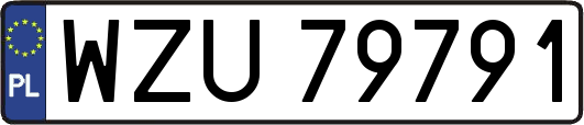 WZU79791