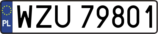 WZU79801