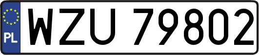 WZU79802