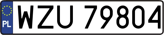 WZU79804