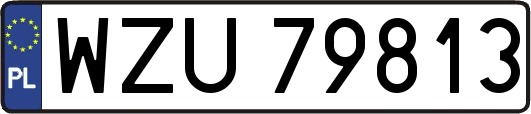 WZU79813