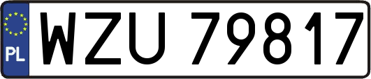 WZU79817