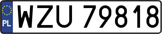 WZU79818