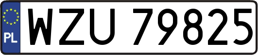 WZU79825