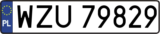 WZU79829