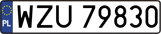 WZU79830