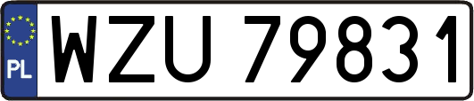 WZU79831