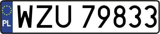 WZU79833