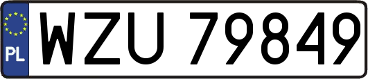 WZU79849