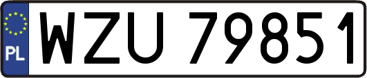 WZU79851