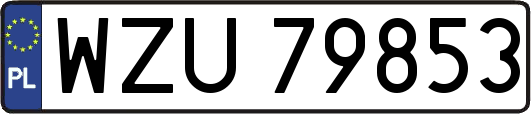 WZU79853