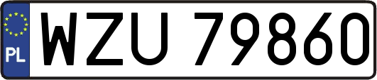 WZU79860