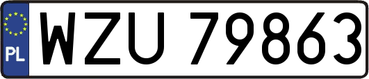 WZU79863