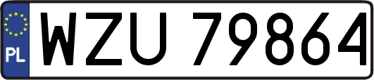 WZU79864