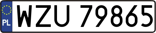 WZU79865