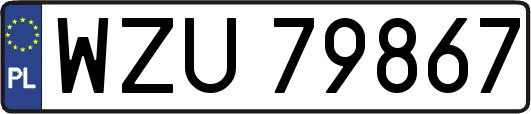 WZU79867