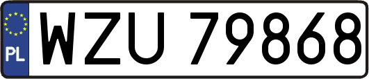 WZU79868