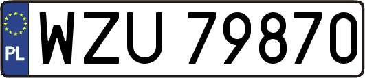 WZU79870