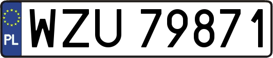 WZU79871